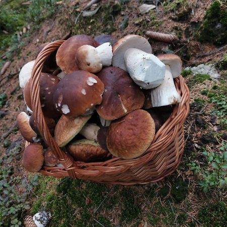 Hostinec U Pejska A Kocicky Mariánské Lázně Eksteriør billede